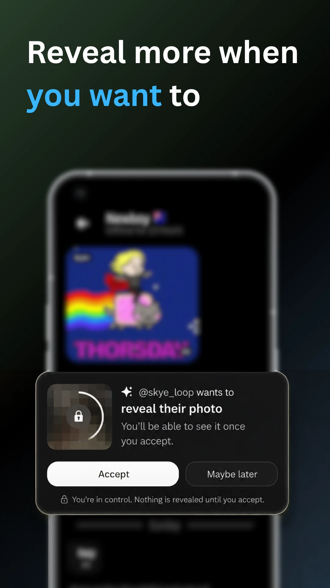 Vanish - Anonymous Chat screenshot